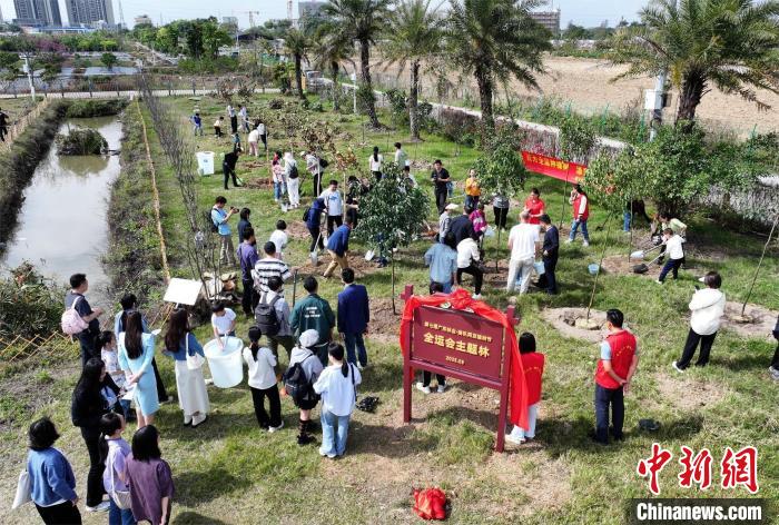 广东省联合多部门发起我为全运种棵树倡议 助力